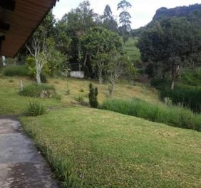 Alquiler finca campe...