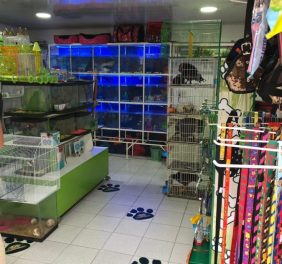 Zooveterinaria vista...